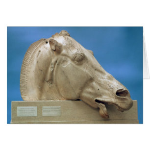Cabeza de uno de los caballos de Selene
