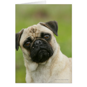 Cabeza del barro amasado amontonada mirando la