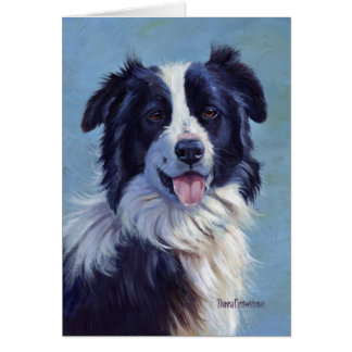 Cabeza del border collie