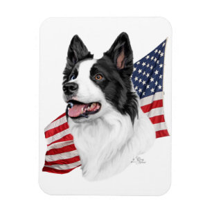 Cabeza del border collie con el imán de la bander