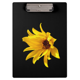 Cabeza del portapapeles de Helenium de margarita a