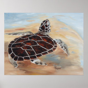 Cabeza encima de la impresión de la tortuga