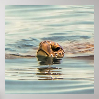 Cabeza por encima del arte de la fauna marina de l