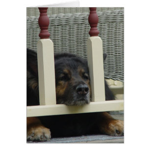 Cabezada perezosa de la tarde