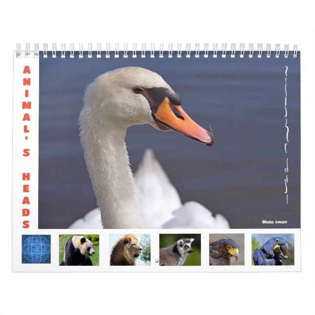 Cabezas de animales calendario de 12 meses (Tapa)