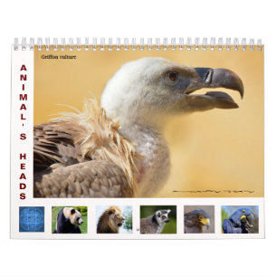 Cabezas de animales calendario de 12 meses