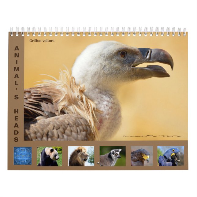 Cabezas de animales calendario de 12 meses (Tapa)
