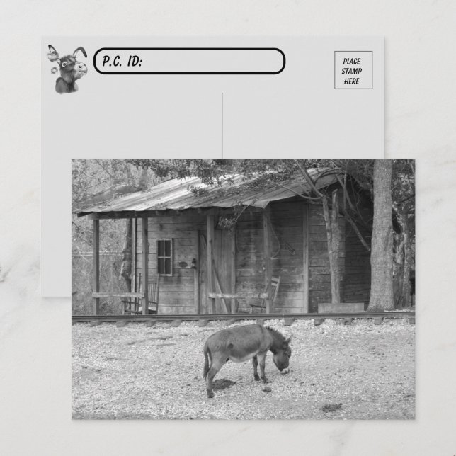 Cabina de posttravesía y burro en postal de B&W (Anverso / Reverso)