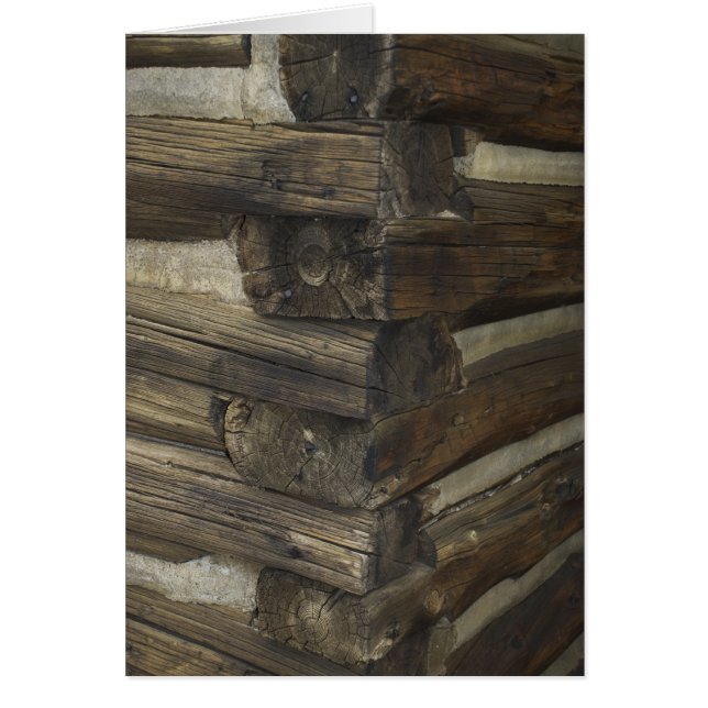 Cabina Pioneer de Madera (Frente)