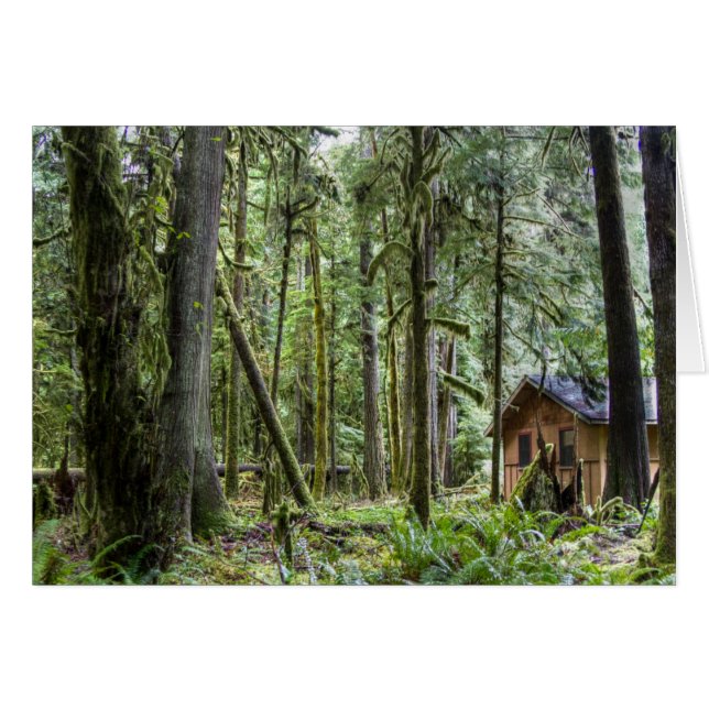 Cabina PNW (Anverso (Horizontal))