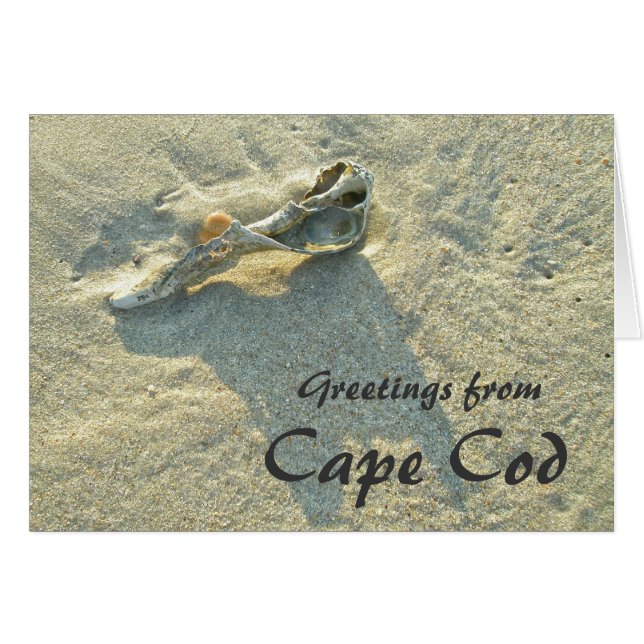 Cabo Cod Massachusetts - Shell & Surf (Anverso (Horizontal))