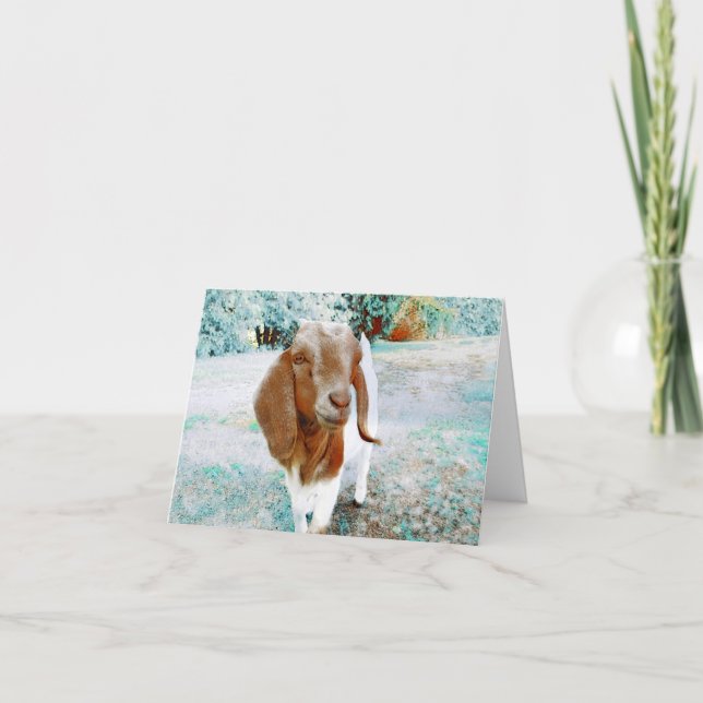 Cabra Adorable para decir Hola - Tarjeta en blanco (Anverso)