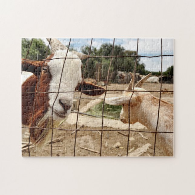 Cabra curiosa - rompecabezas (Horizontal)
