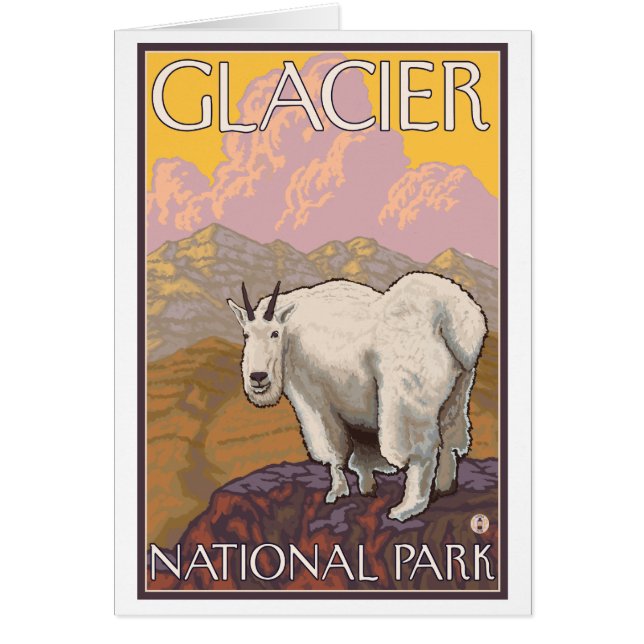 Cabra de Montaña - Parque Nacional Glacier, MT (Frente)