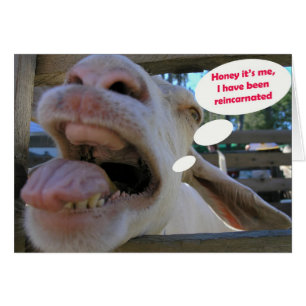 Cabra del Haw de Yee - tarjetas