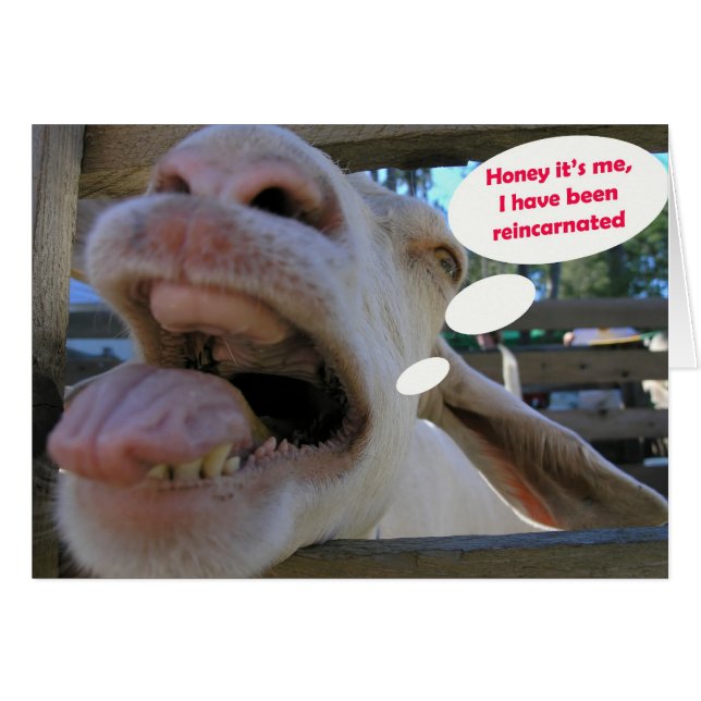 Cabra del Haw de Yee - tarjetas (Anverso (Horizontal))