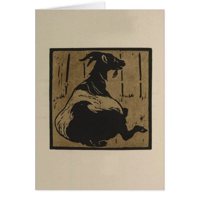 Cabra en reposo (Frente)