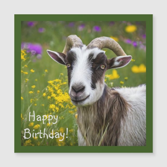 Cabra guapa (Anverso)