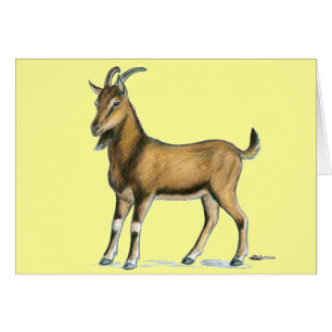 Cabra: Marrón