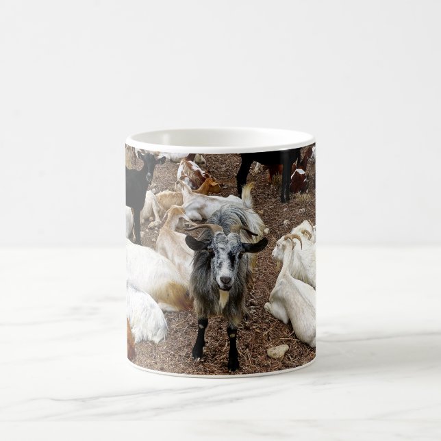 Cabra, taza de café (Centro)