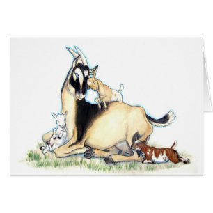 Cabra y niños enanos nigerianos lindos