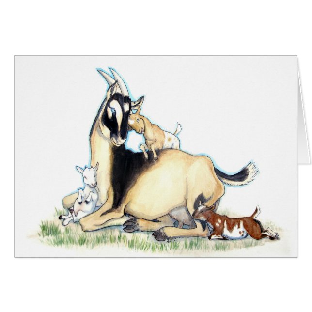 Cabra y niños enanos nigerianos lindos (Anverso (Horizontal))