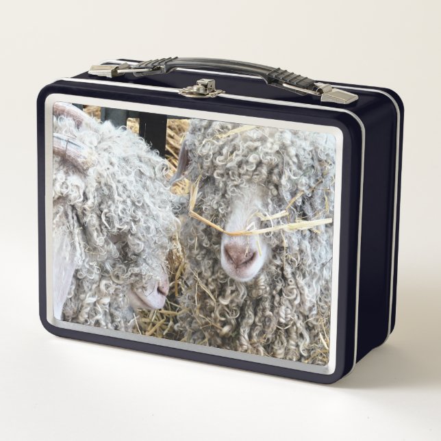 CABRAS CUTAS (Anverso)