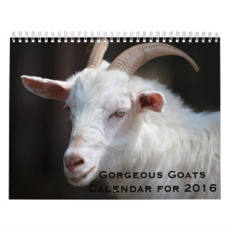 Cabras magníficas calendario de 12 meses para 2016