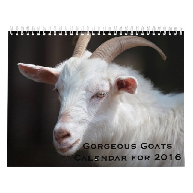 Cabras magníficas calendario de 12 meses para 2016 (Tapa)