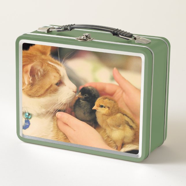 Cachorritos (Anverso)