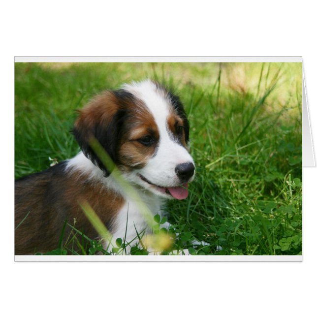 Cachorro (Anverso (Horizontal))