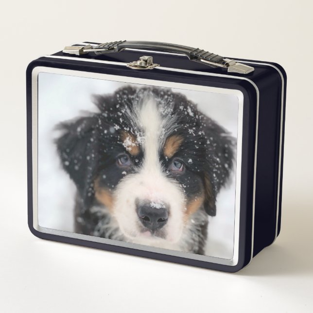 Cachorro (Anverso)