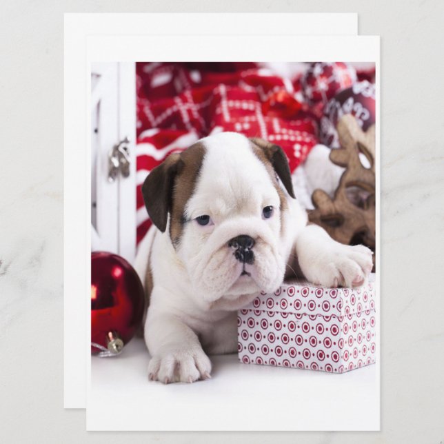 Cachorro adorable Bulldog Inglés | Navidad diverti (Anverso / Reverso)