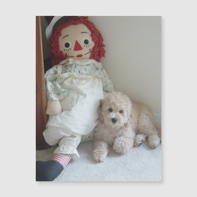 Cachorro adorable de Cockapoo y foto de muñeca de  (Anverso)