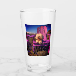 Cachorro Amigable y Lindo Shih Tzu Sonríe, Silla M