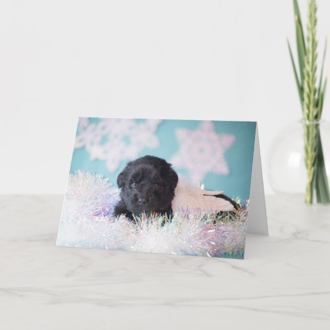 Cachorro ángel de Navidad (Anverso)