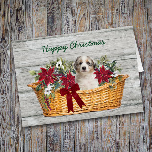 Cachorro australiano azul Merle en carta de Navida