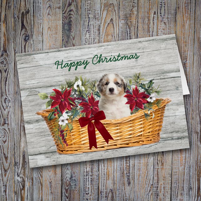 Cachorro australiano azul Merle en carta de Navida (Subido por el creador)