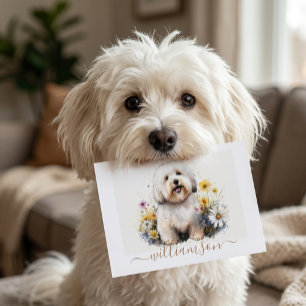 Cachorro blanco de Coton de Tulear con flores y no