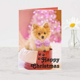 Cachorro con lazo rosa adorable y tarjeta única de