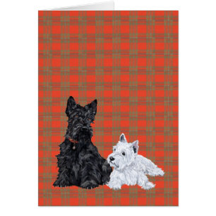 Cachorro de adultos y westie de Escocia