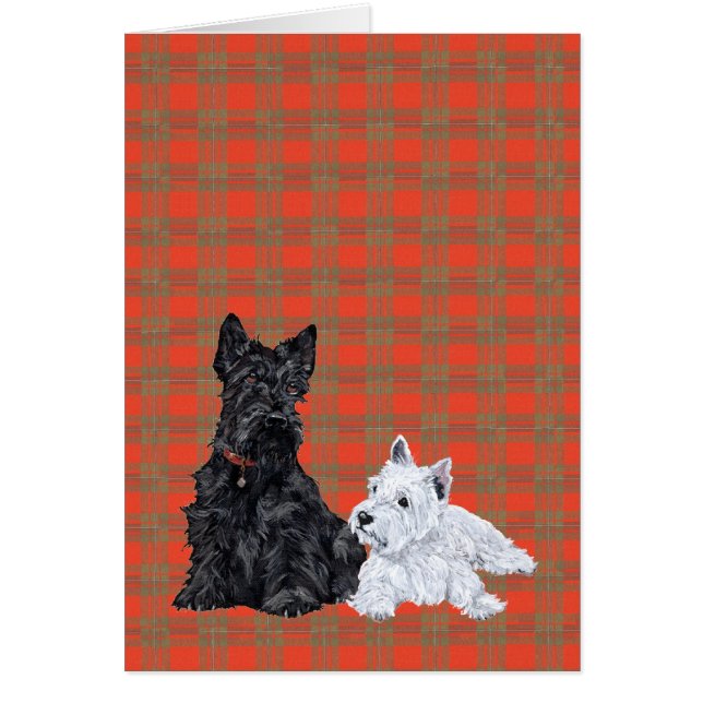 Cachorro de adultos y westie de Escocia (Frente)
