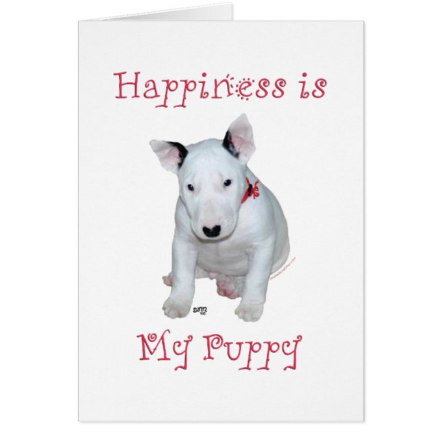 Cachorro de Bull Terrier (Frente)