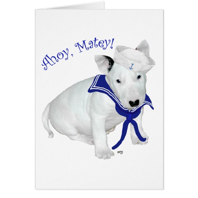 Cachorro de Bull Terrier Marinero (Frente)