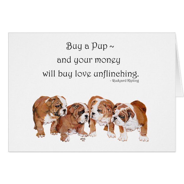 Cachorro de Bulldog Inglés (Anverso (Horizontal))