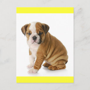 Cachorro de Bulldog Inglés Amarillo Tarjeta Postal