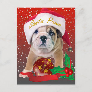 Cachorro de bulldog inglés en tarjetas Santa Hat