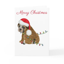 Cachorro de Bulldog Inglés Navidad