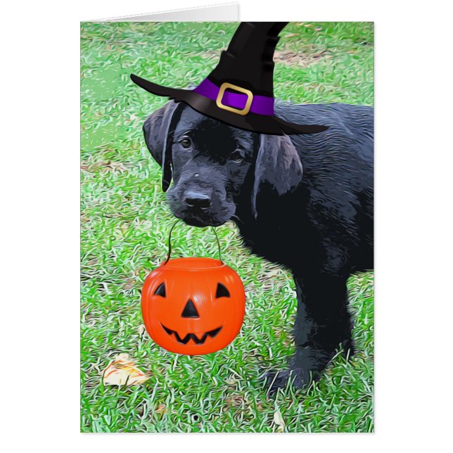Cachorro de calabaza de Halloween - Laboratorio ne (Frente)
