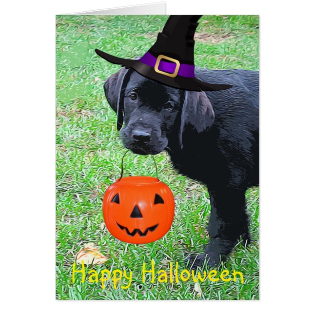 Cachorro de calabaza de Halloween - Laboratorio ne (Frente)